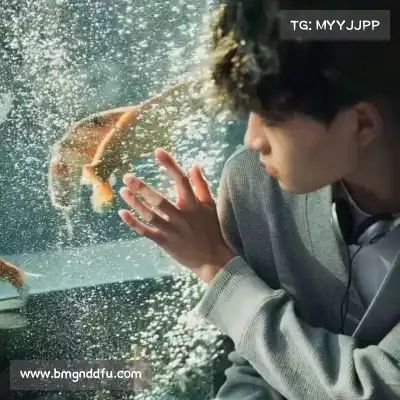 屈芸纯